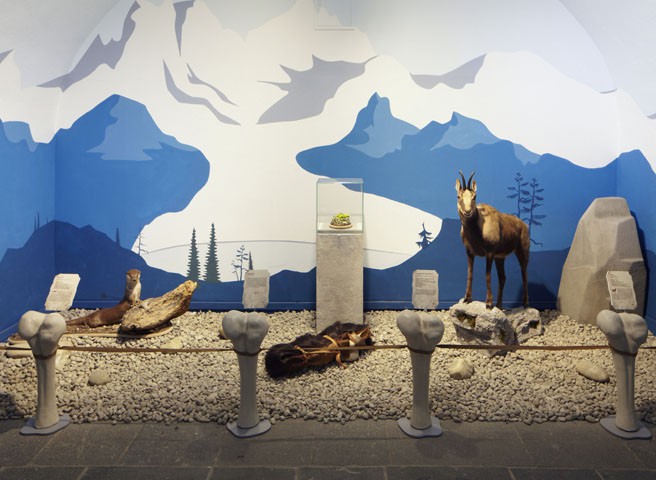 Kwast-Museen-Eiszeit